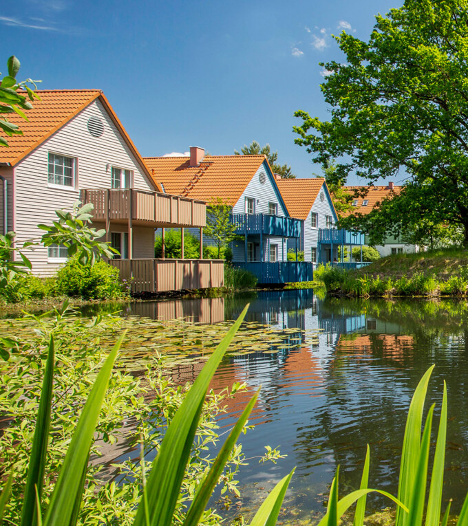 Unternehmensbereich - Development