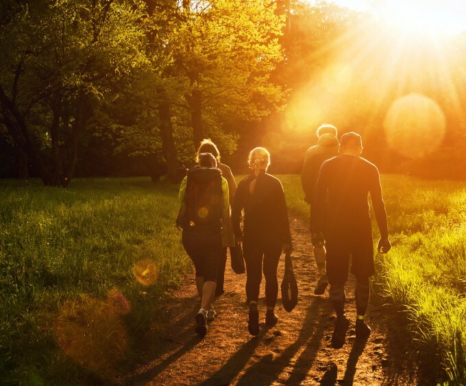 Vier Personen bei einem Spaziergang auf einem Waldweg im warmen Abendlicht.